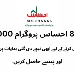8171 Ehsaas Program 25000 BISP 